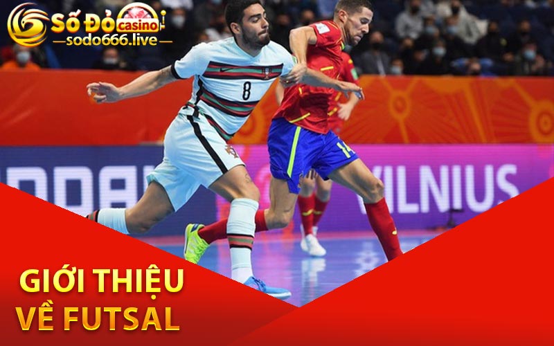 Giới thiệu về Futsal
